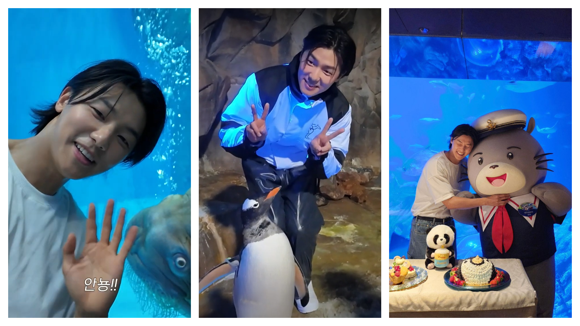 CNBLUE姜敏赫獻出「水族館初體驗」！與企鵝合照超萌　直喊：很適合浪漫求婚