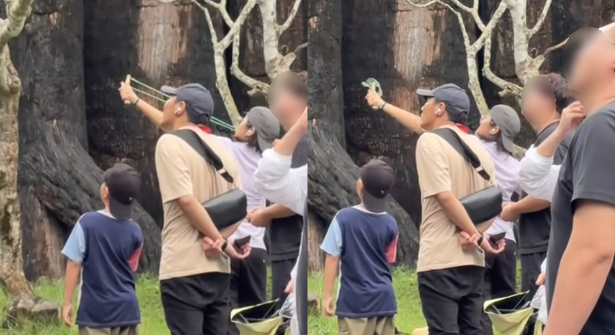 超沒品！陸遊客逛泰國動物園「拿彈弓亂射」畫面曝光　園方說話了　