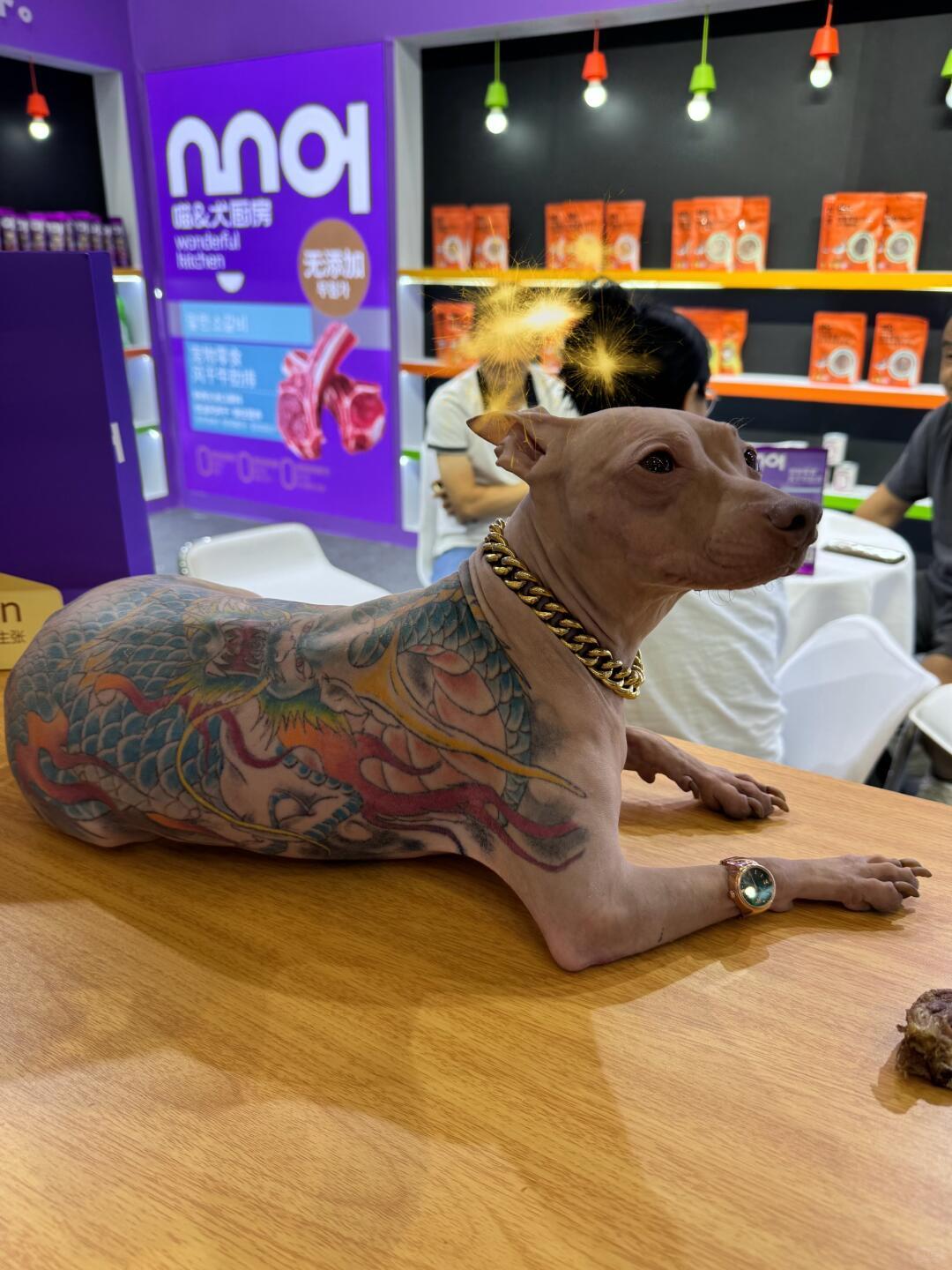 太扯了 有人居然幫狗狗刺青、還當場炫耀「沒打麻醉，牠也不痛」引發動保爭議