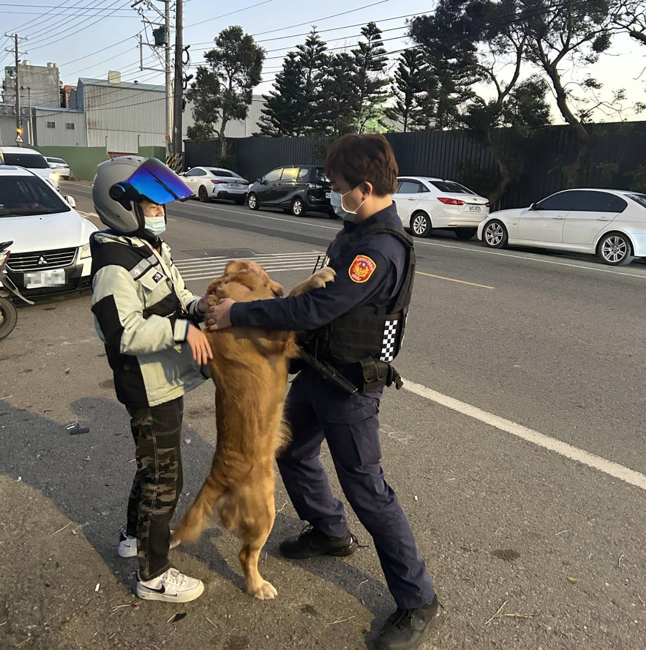 「走失黃金獵犬自尋求助」警方協助找回飼主，感人一幕暖化人心