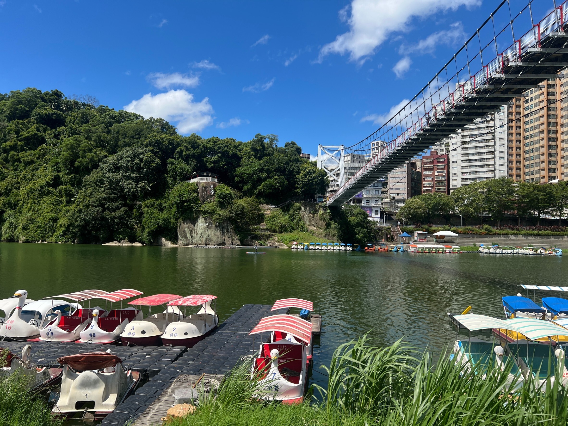 快訊／碧潭驚見60歲婦「頭朝下」浮水面　撈起送醫成功救回一命