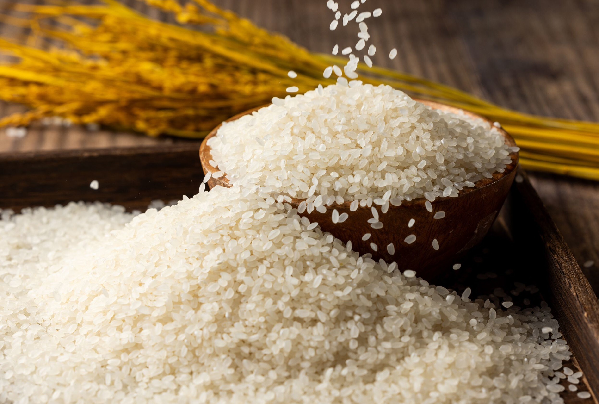 **日本人氣燒肉丼品牌「山牛將」進駐台南！首店試營運買一送一優惠開跑**