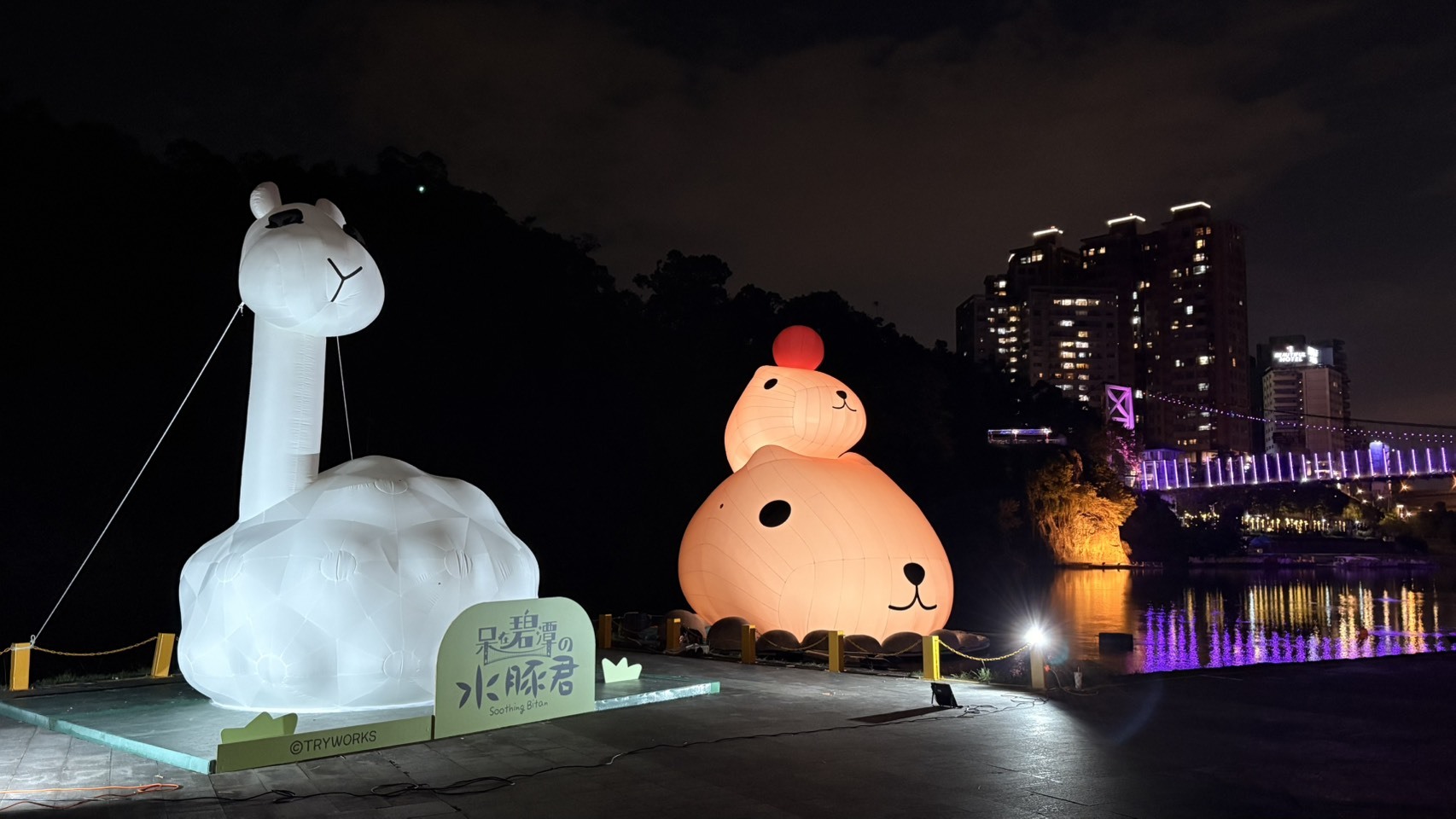 **新北市秋冬療癒盛事！「呆在碧潭の水豚君」地景裝置展正式開展**