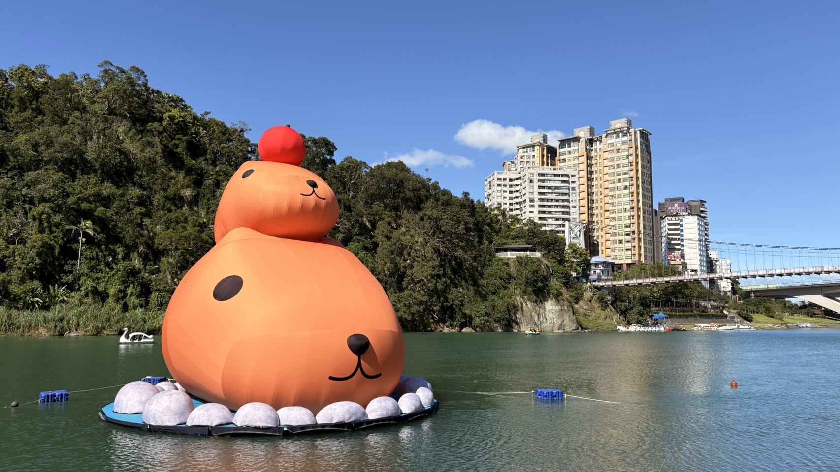 新北碧潭水豚君打卡熱點！12米超萌裝置展　還有雞蛋糕、見面會