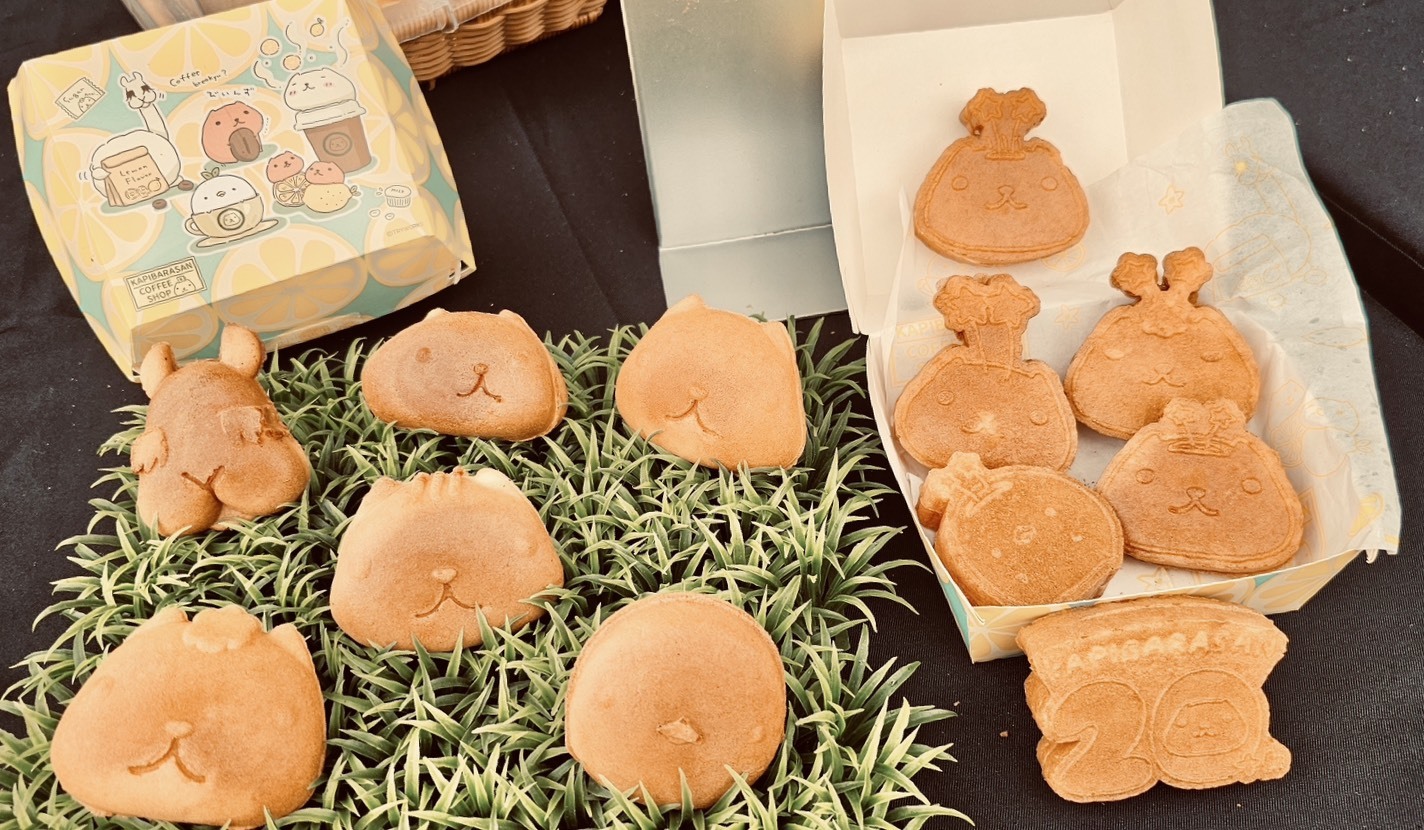  水豚君魅力席捲碧潭！療癒打卡熱點引爆粉絲熱潮