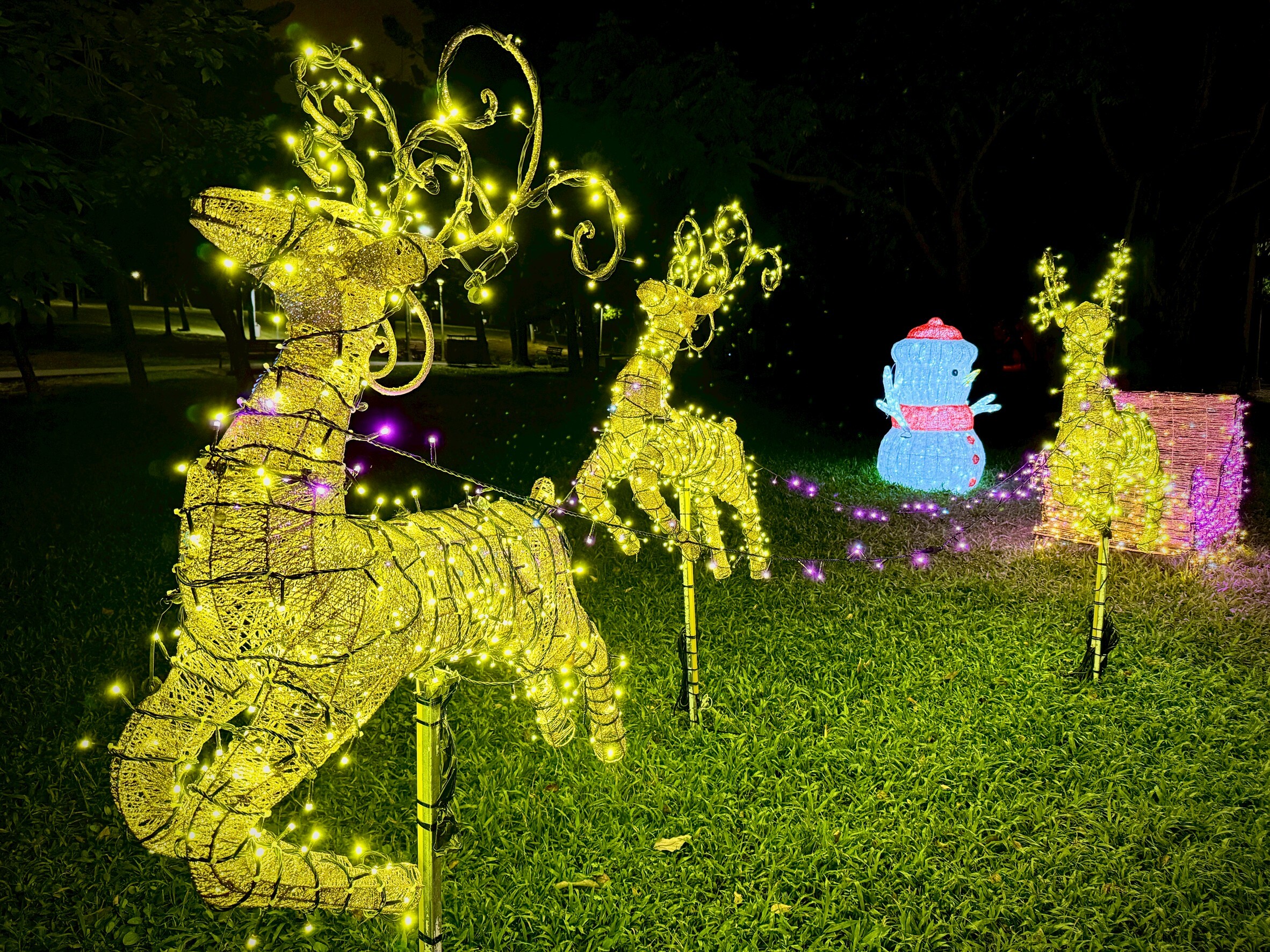 2025臺北耶誕燈飾點亮！大安森林公園變身「聖誕奇境」　６大燈區打卡