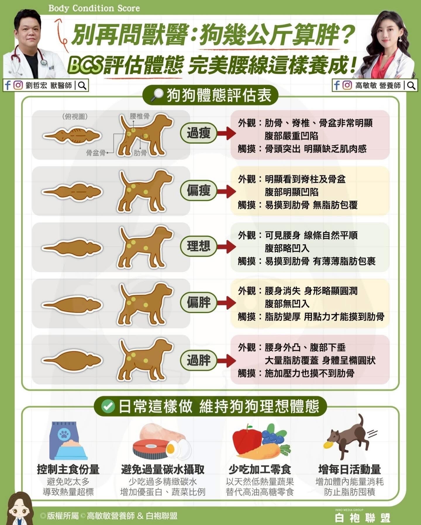 **狗狗健康管理：BCS體態評分助您掌握毛孩健康關鍵**
